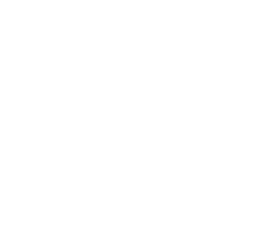 Andolini's Pizzeria logo transparent