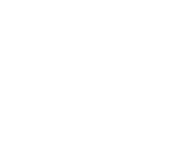 Otto Pizza logo transparent