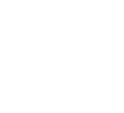 Andolini's pizzeria logo white transparent
