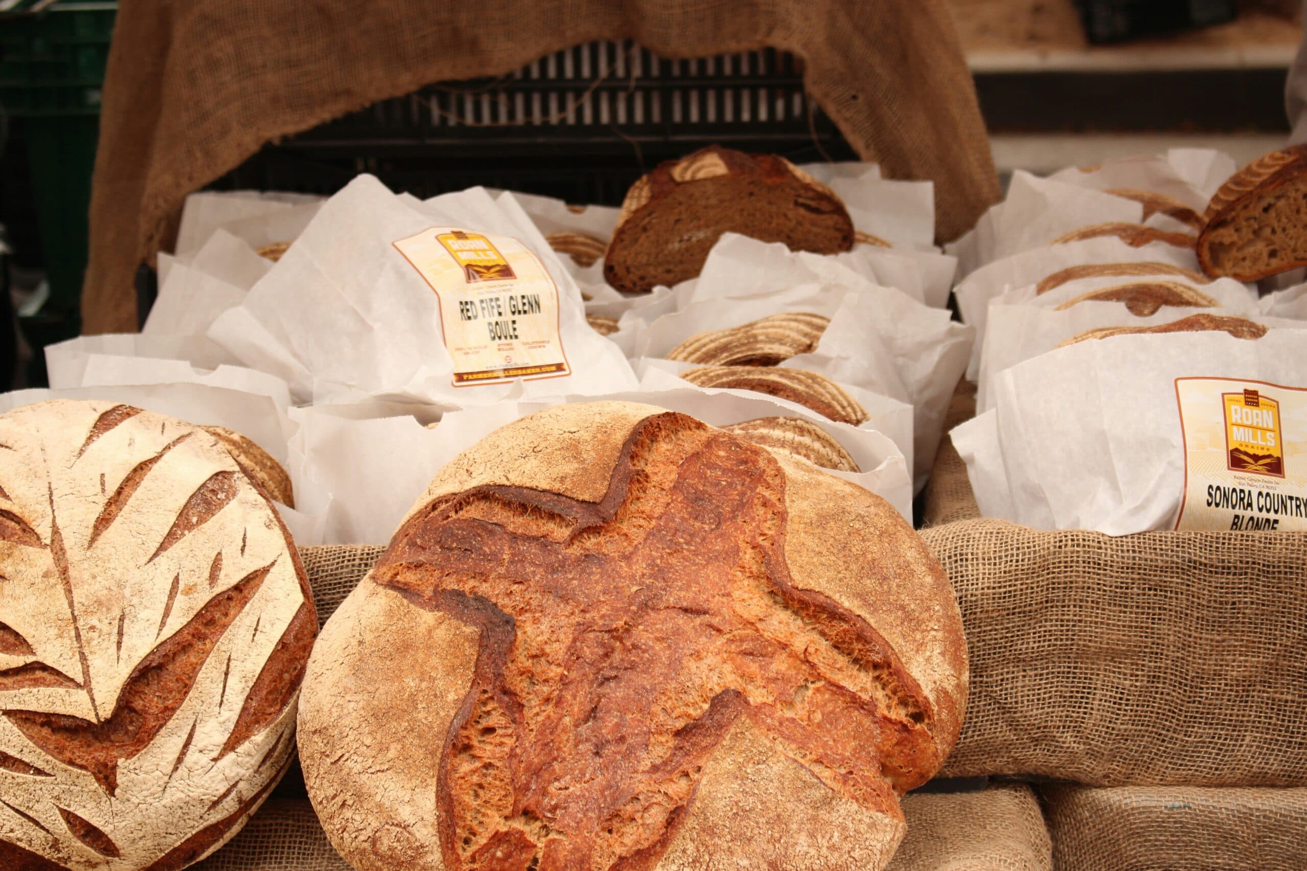 Artisan bread loaves displayed at bakery