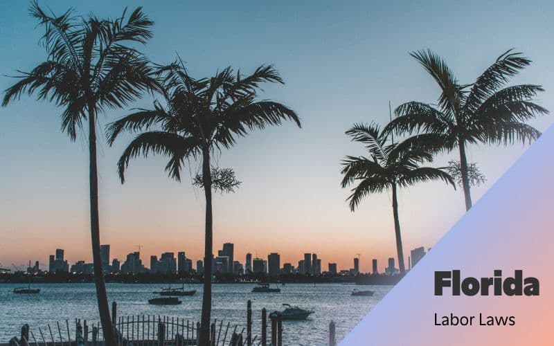 Florida skyline and palm trees at sunset