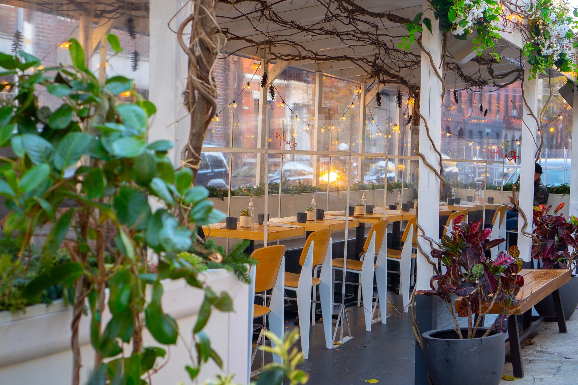 Cozy outdoor dining area with plants and lights.
