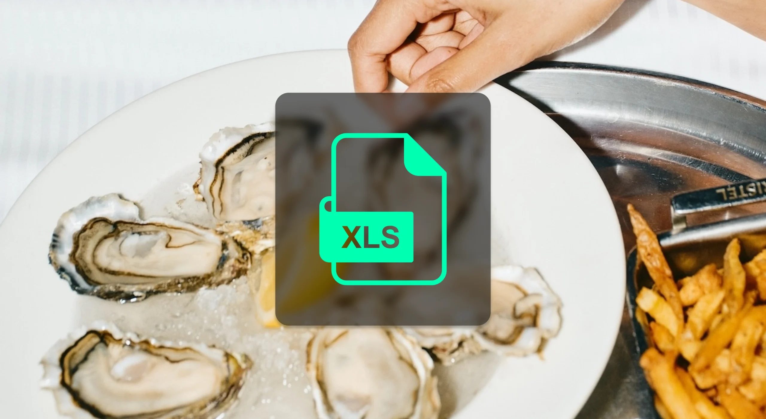 Stylized Excel logo on top of black overlay square on top of image of someone grabbing an oyster from plate