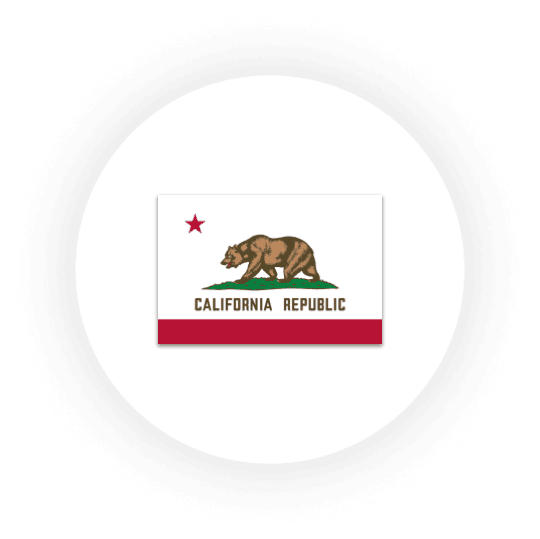 California state flag with bear and star