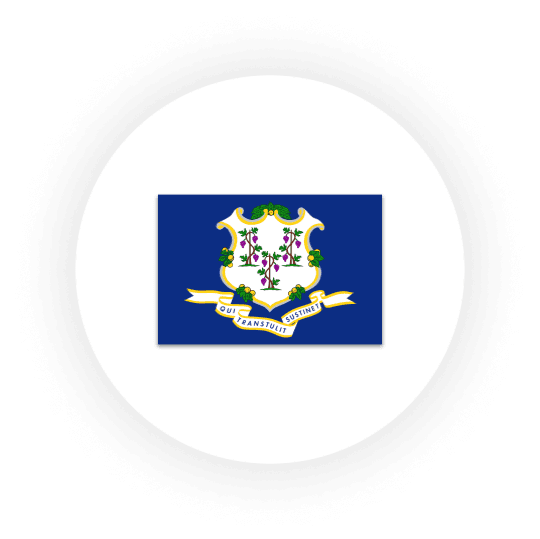 Connecticut state flag with emblem and motto.