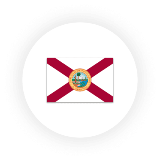 Florida state flag with seal