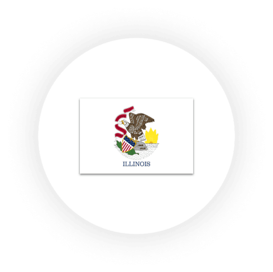 Illinois state flag with eagle and shield