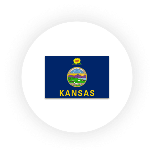 Kansas state flag with seal