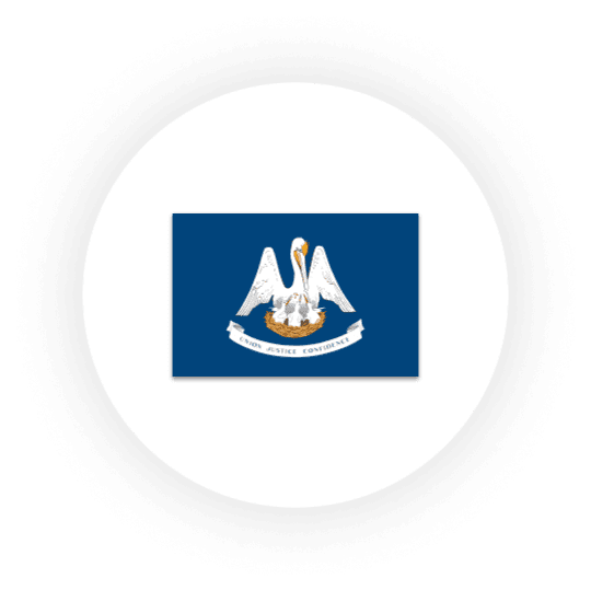 Flag of Louisiana state