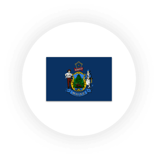 Flag of Maine with state emblem and motto.