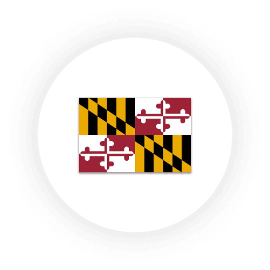 Maryland state flag illustration