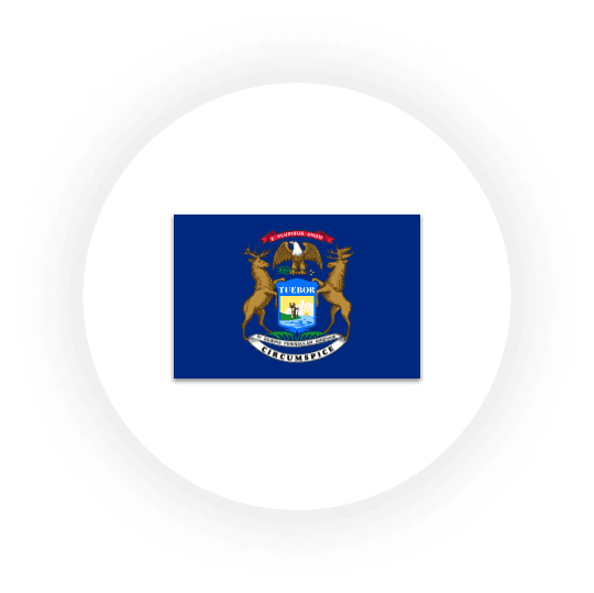 Michigan state flag on a white background