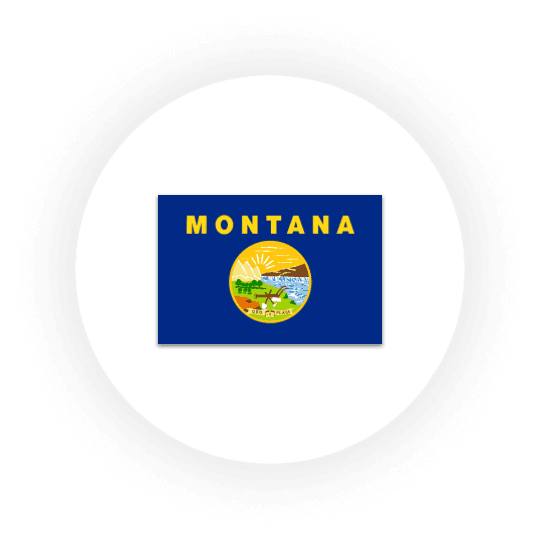 Montana state flag with emblem and text.