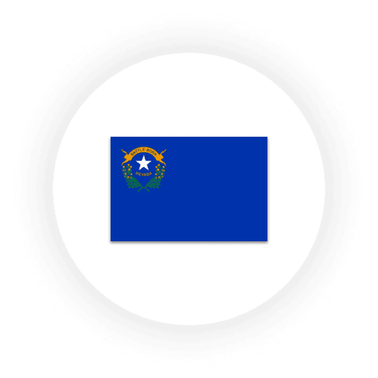 Nevada state flag on white background
