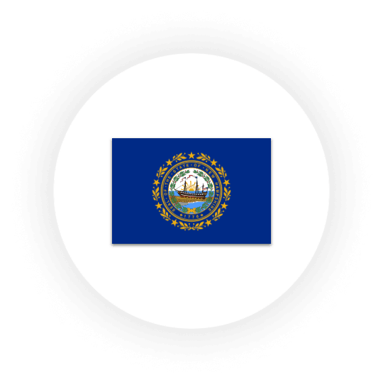 New Hampshire state flag