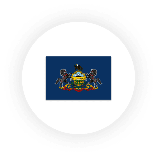 Pennsylvania state flag with coat of arms