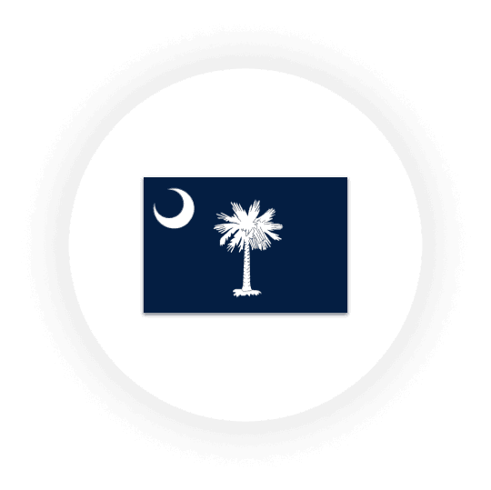 South Carolina state flag with palmetto and crescent