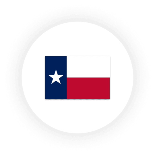 Texas state flag with star design.