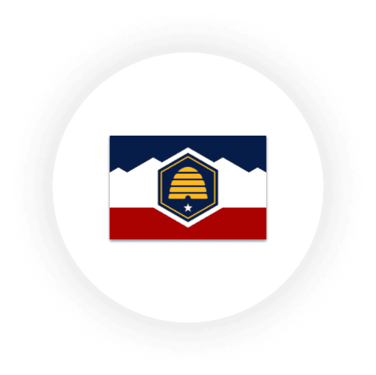 Flag with honeycomb design and mountain backdrop.