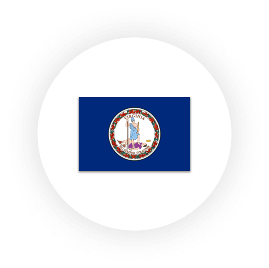 Virginia state flag on blue background