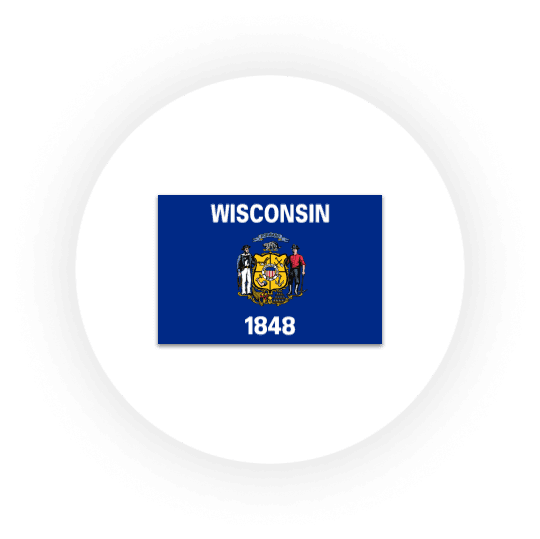 Wisconsin state flag with emblem and year 1848