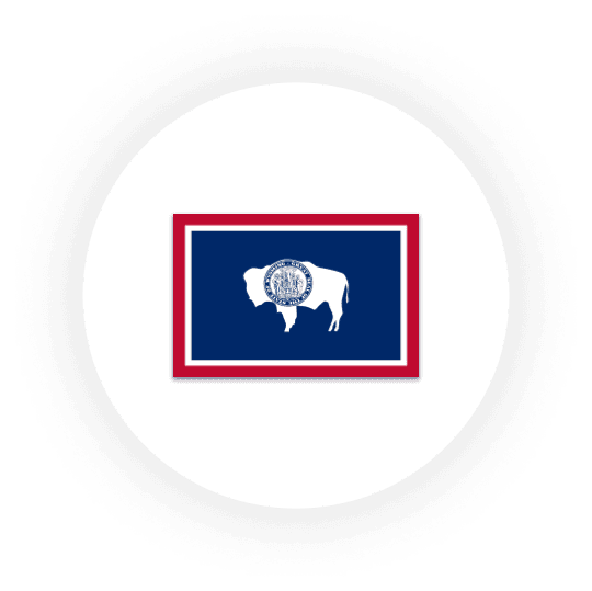 Wyoming state flag with bison and seal.
